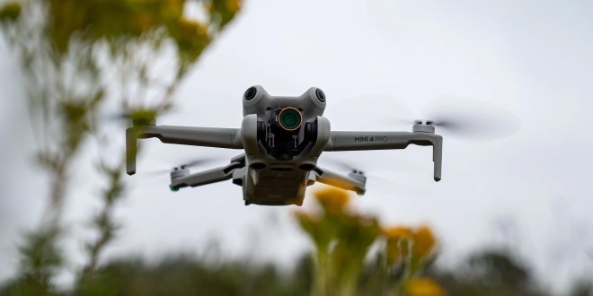 Vivid Collection - Mini 4 Pro - 2